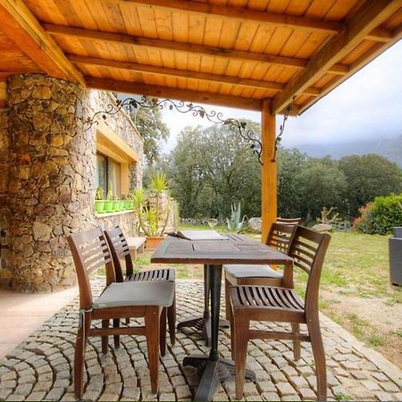 Studio Confortable Avec Vue Sur La Montagne A Moltifao 30M² Jardin Eksteriør bilde