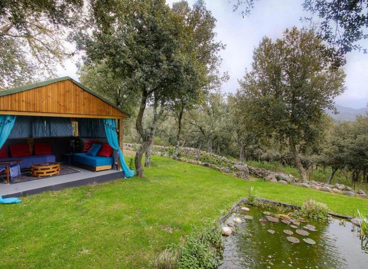 Studio Confortable Avec Vue Sur La Montagne A Moltifao 30M² Jardin Eksteriør bilde