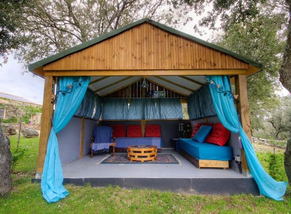 Studio Confortable Avec Vue Sur La Montagne A Moltifao 30M² Jardin Eksteriør bilde