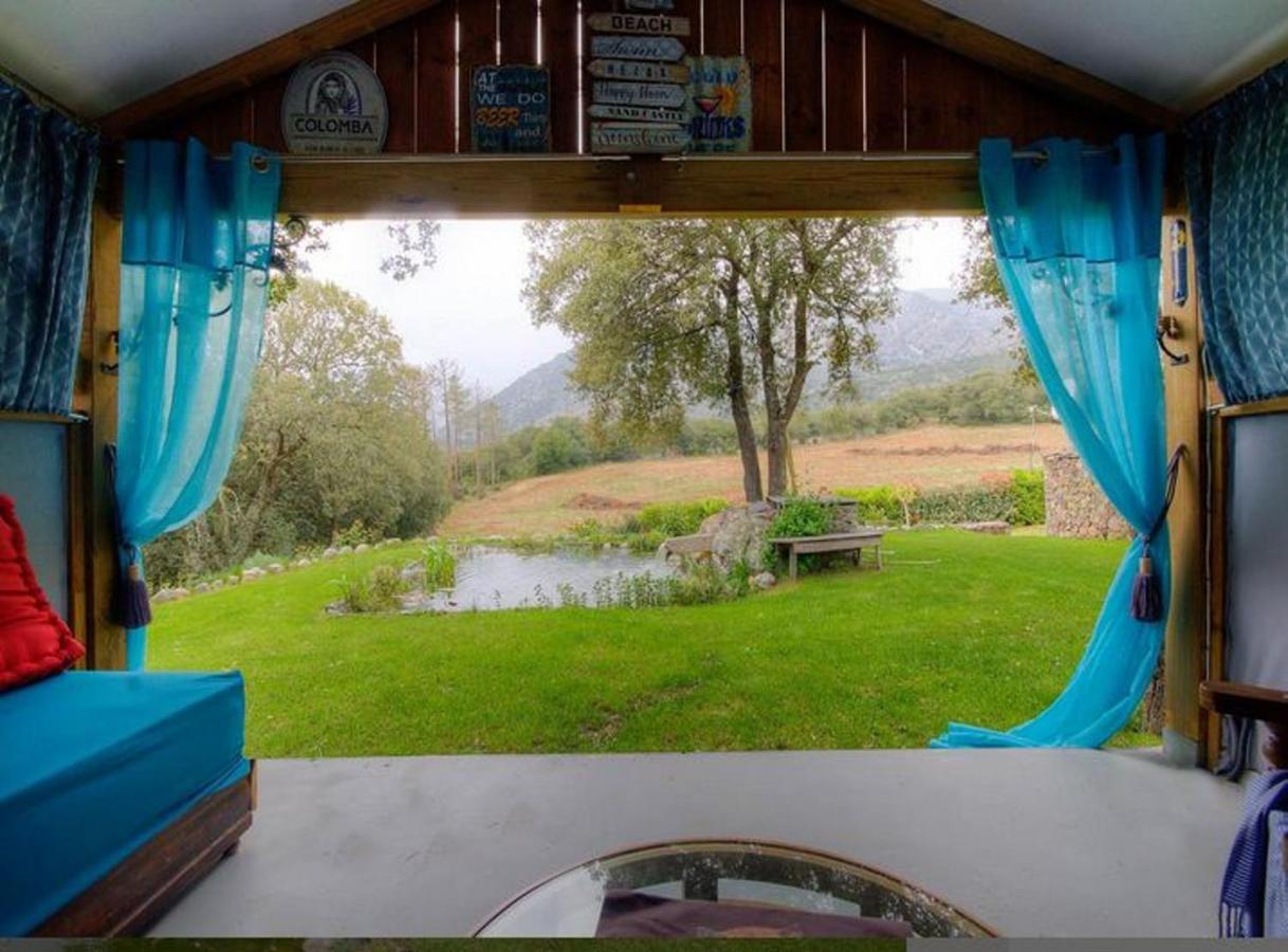 Studio Confortable Avec Vue Sur La Montagne A Moltifao 30M² Jardin Eksteriør bilde