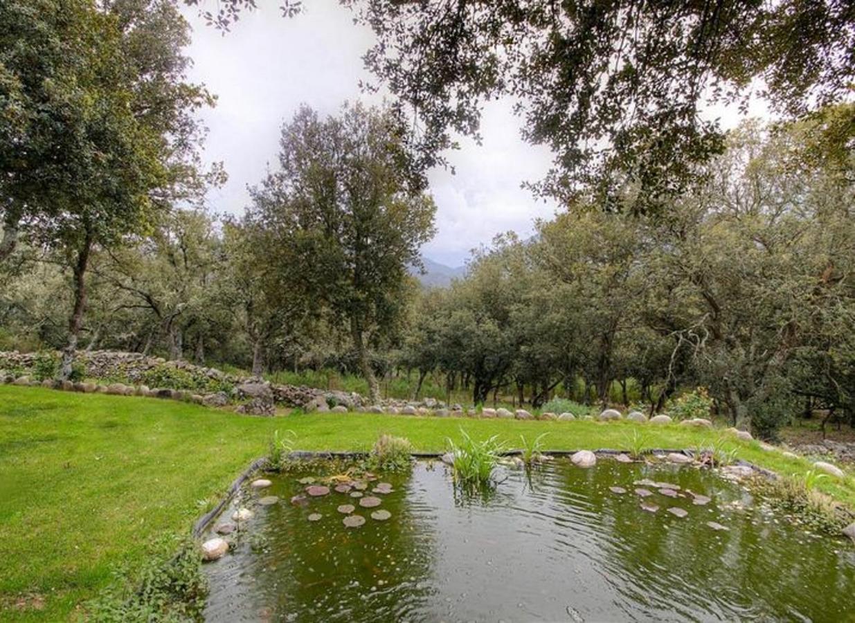 Studio Confortable Avec Vue Sur La Montagne A Moltifao 30M² Jardin Eksteriør bilde