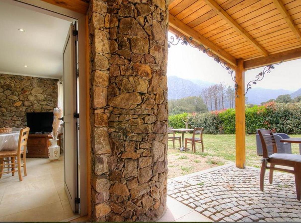 Studio Confortable Avec Vue Sur La Montagne A Moltifao 30M² Jardin Eksteriør bilde