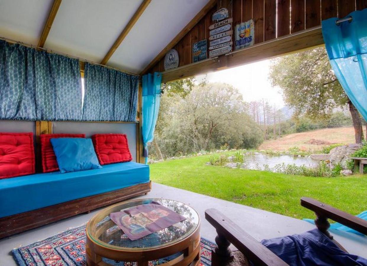 Studio Confortable Avec Vue Sur La Montagne A Moltifao 30M² Jardin Eksteriør bilde